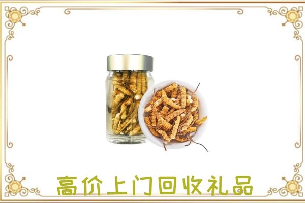 恩施市周边回收虫草